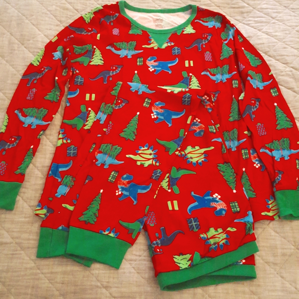 NWT Women's Cozy Fun Dinosaur Print Holiday Pajama Set sz L